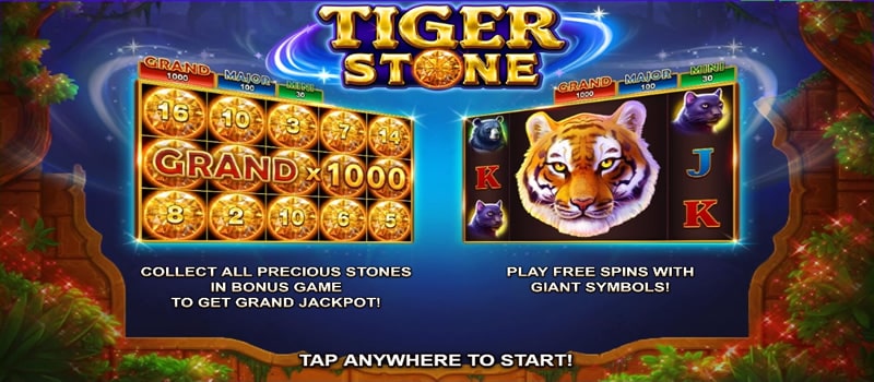 pota óir tiger stone